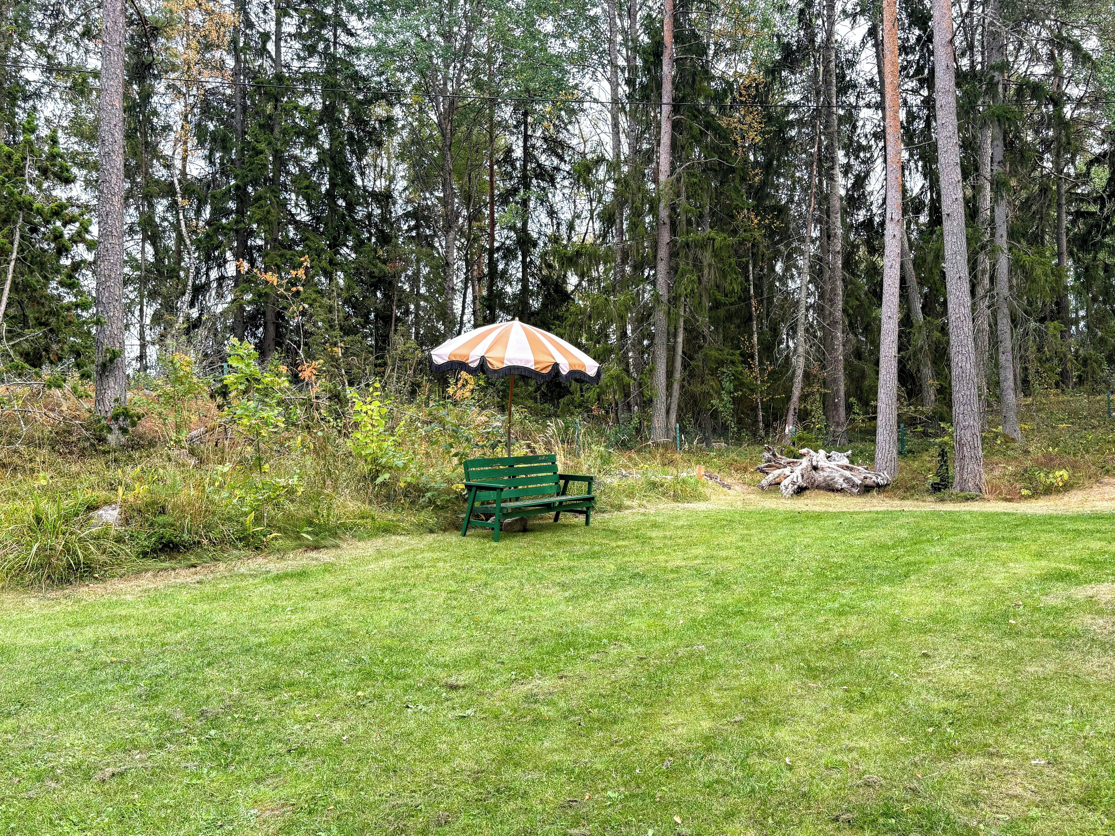 A green bench under a striped umbrella in a grassy area with trees in the background.