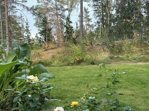 A grassy area with various plants and trees in the background. - Cozy cottage surrounded by forest and nature (Bergshamra)