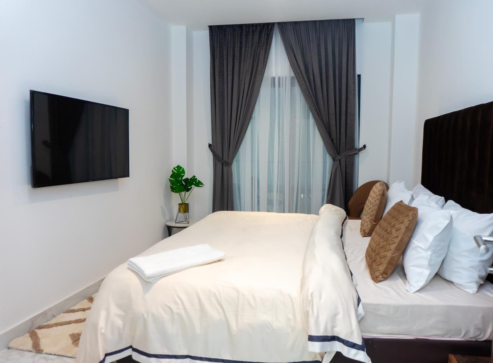 A hotel room with a bed, a TV, a plant, and a window with curtains.