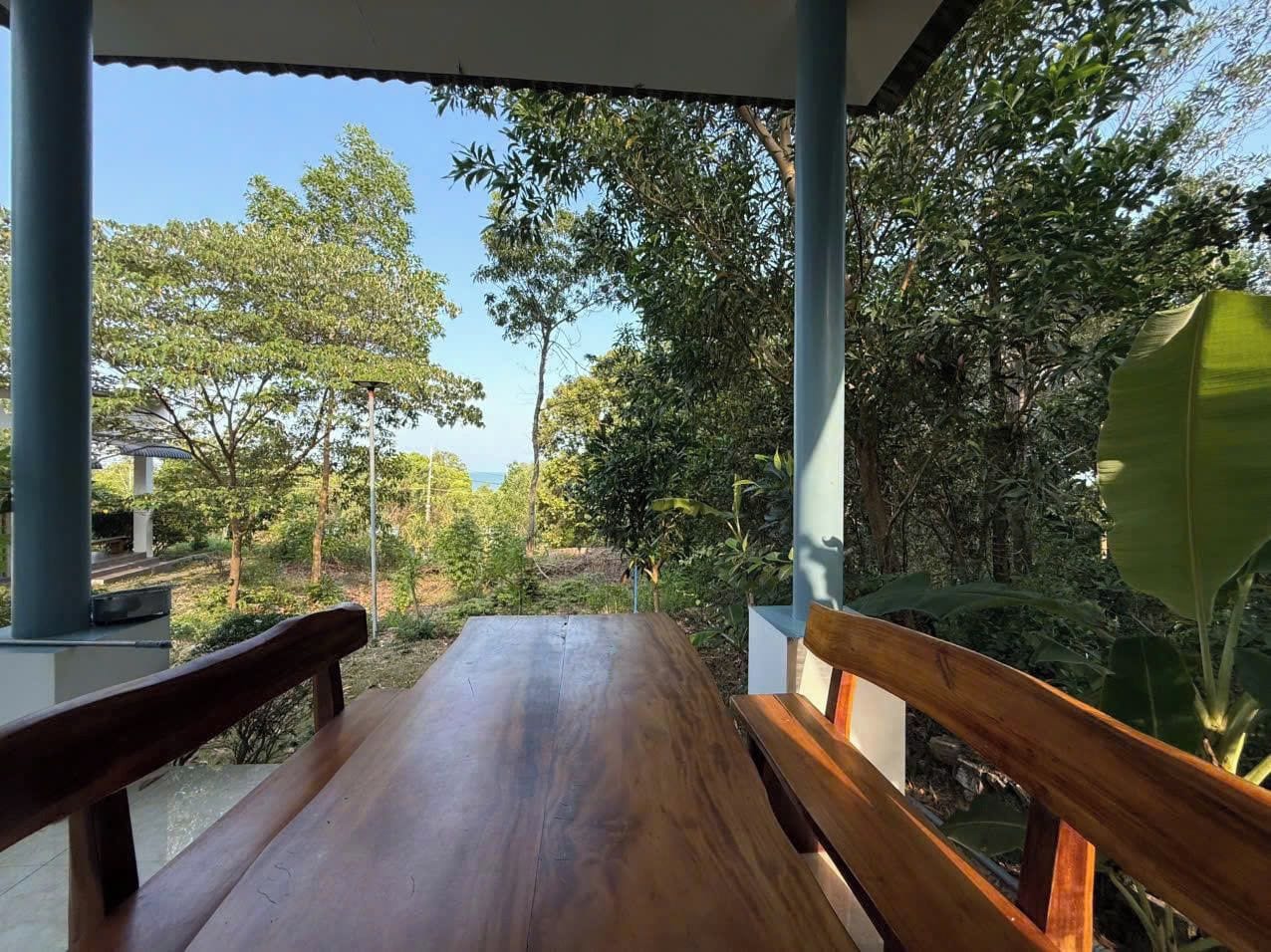 A wooden bench with a view of a garden and trees.