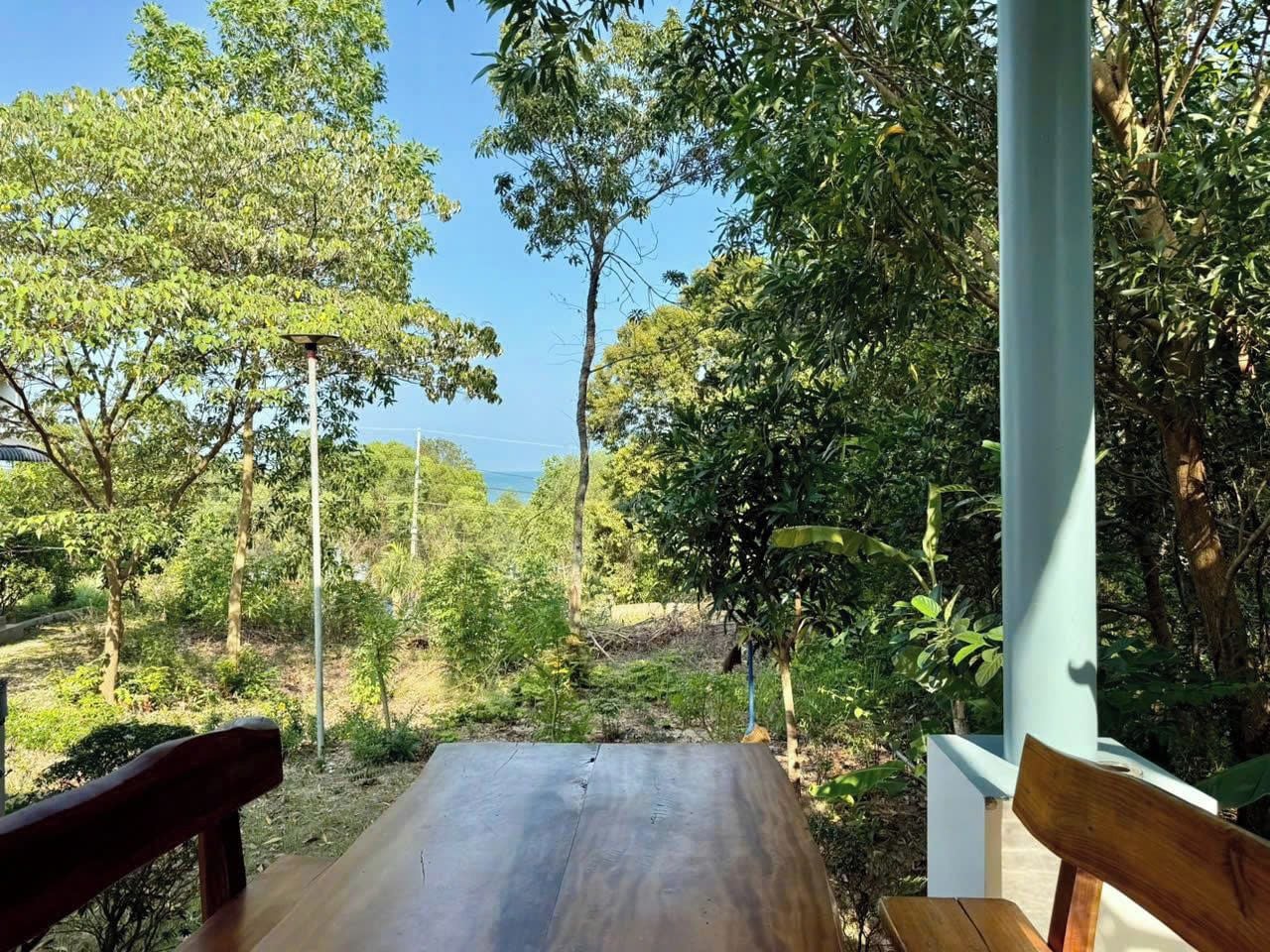 An outdoor seating area with a bench and a table, surrounded by trees and vegetation.