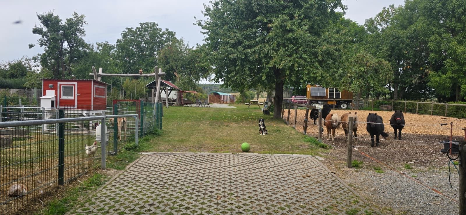Ein Freigelände mit Umzäunung, einem kleinen Gebäude und einem Spielbereich mit einem Ball.