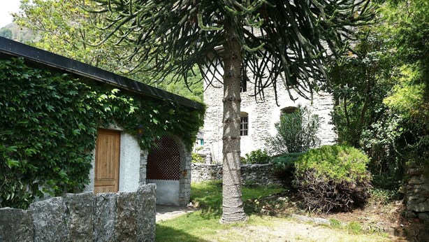 A stone building with a wooden door and a covered area with vines. - Lovely apartment for 4 people with WIFI, TV, balcony and panoramic view (Acquarossa)