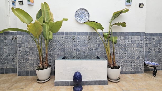A reception area with a white reception desk, two potted plants, a decorative plate, and patterned tiles on the wall. - Puertas de la Catedral (Córdoba)