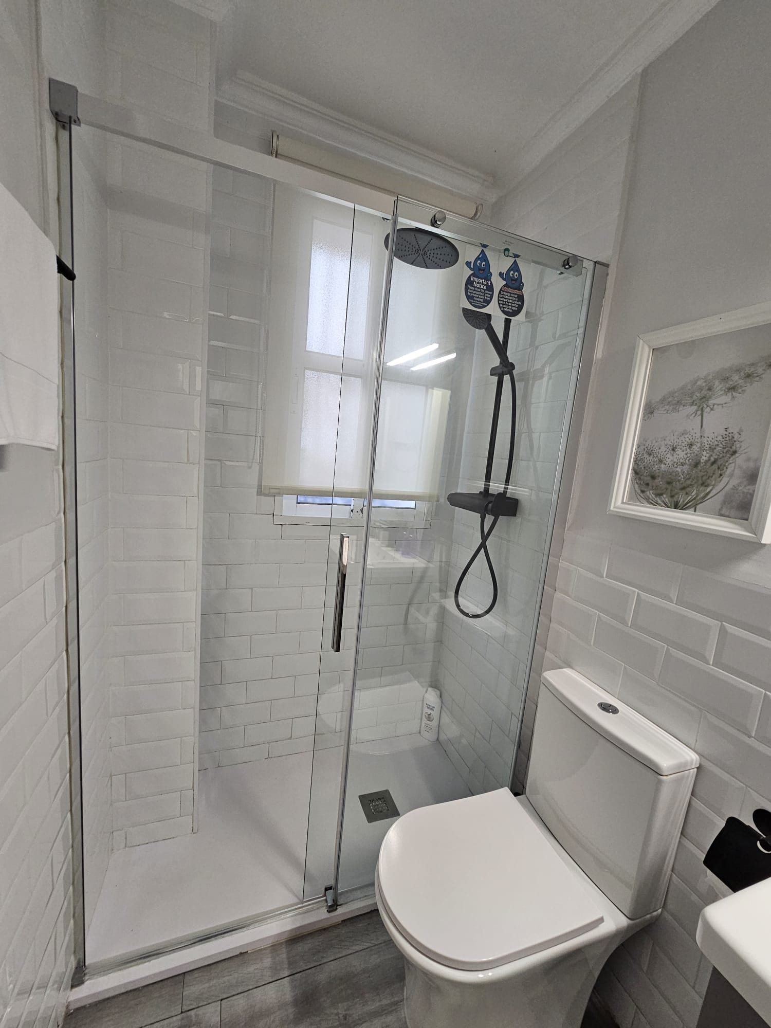 Un baño con ducha de vidrio, inodoro blanco y un cuadro en la pared.
