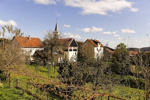 Ländliche Landschaft mit einer Kirche und Wohnhäusern, umgeben von Grünflächen und einem Weinberg.