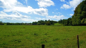 Ein weites Feld unter klarem Himmel, in der Ferne eine Baumreihe.