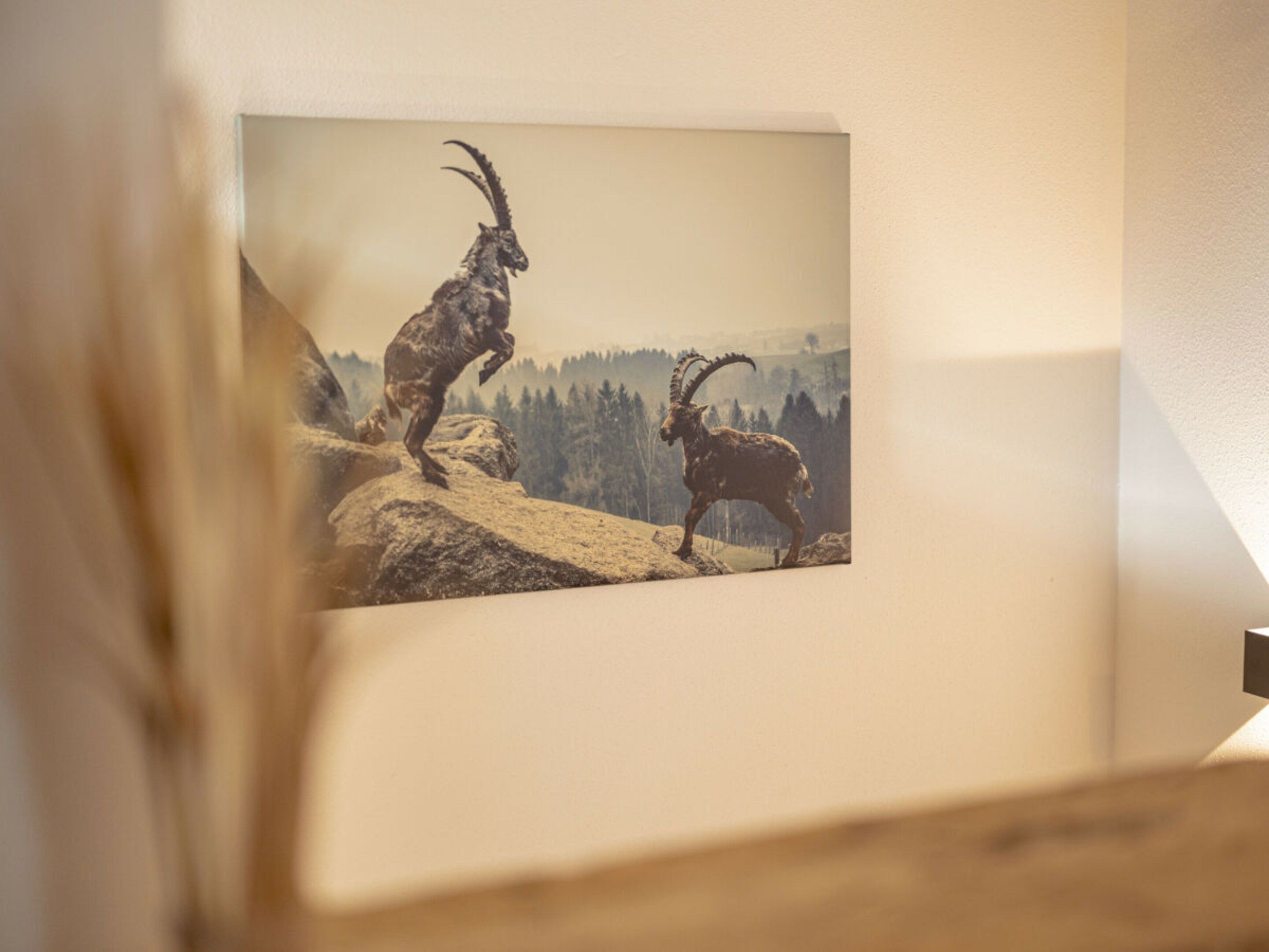 Ein gerahmtes Bild von einem Steinbock auf einem Felsen, mit bewaldeter Landschaft im Hintergrund.