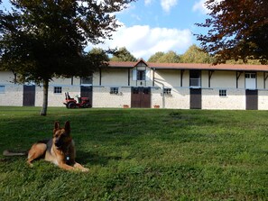 A German Shepherd lying on grass in front of a stone building with a red roof.