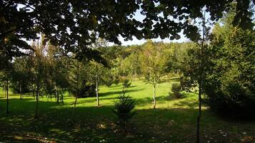 Un parc amb arbres diversos i una zona enjardinada.