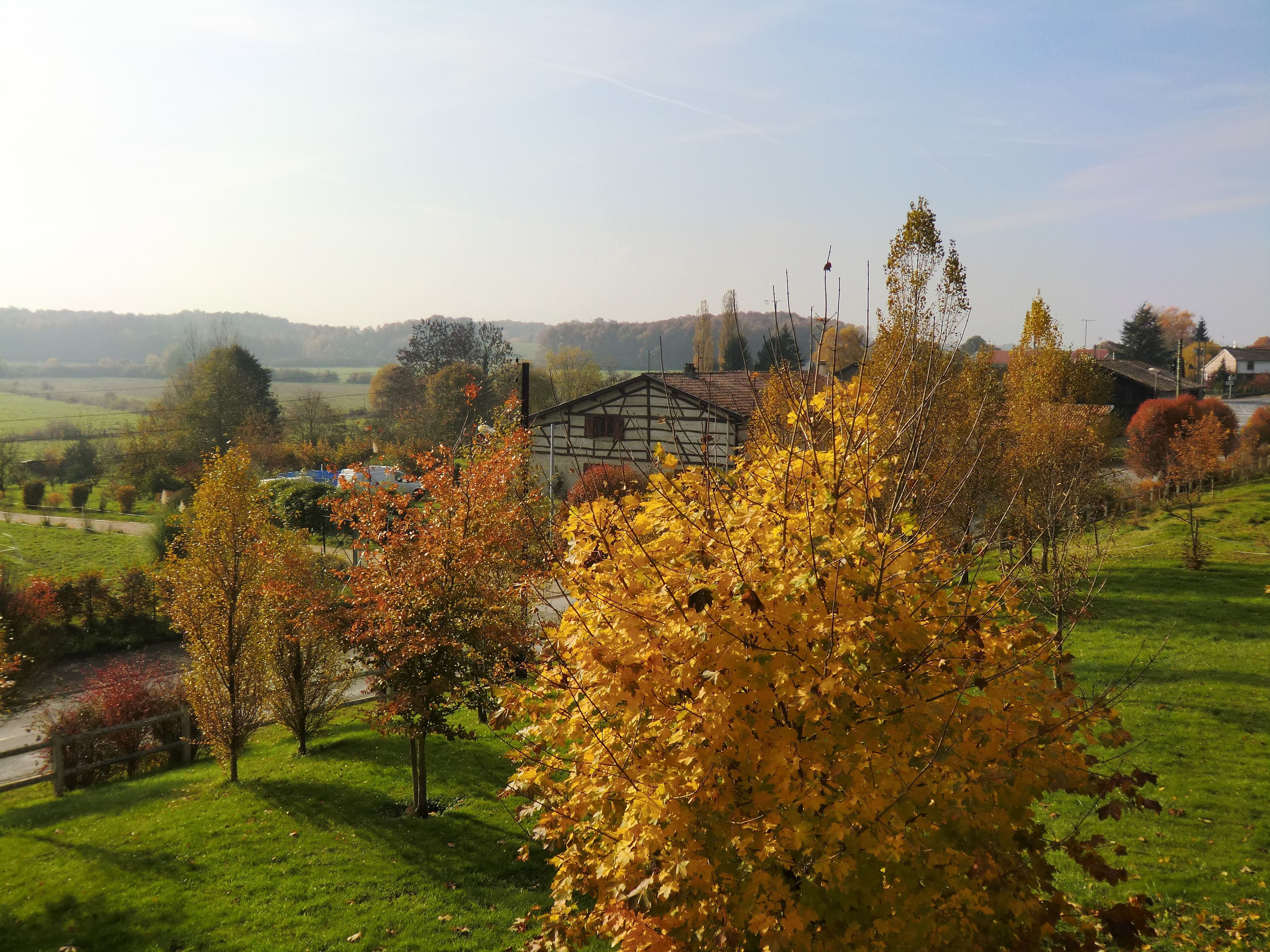 A rural landscape with a house surrounded by trees with autumn foliage.