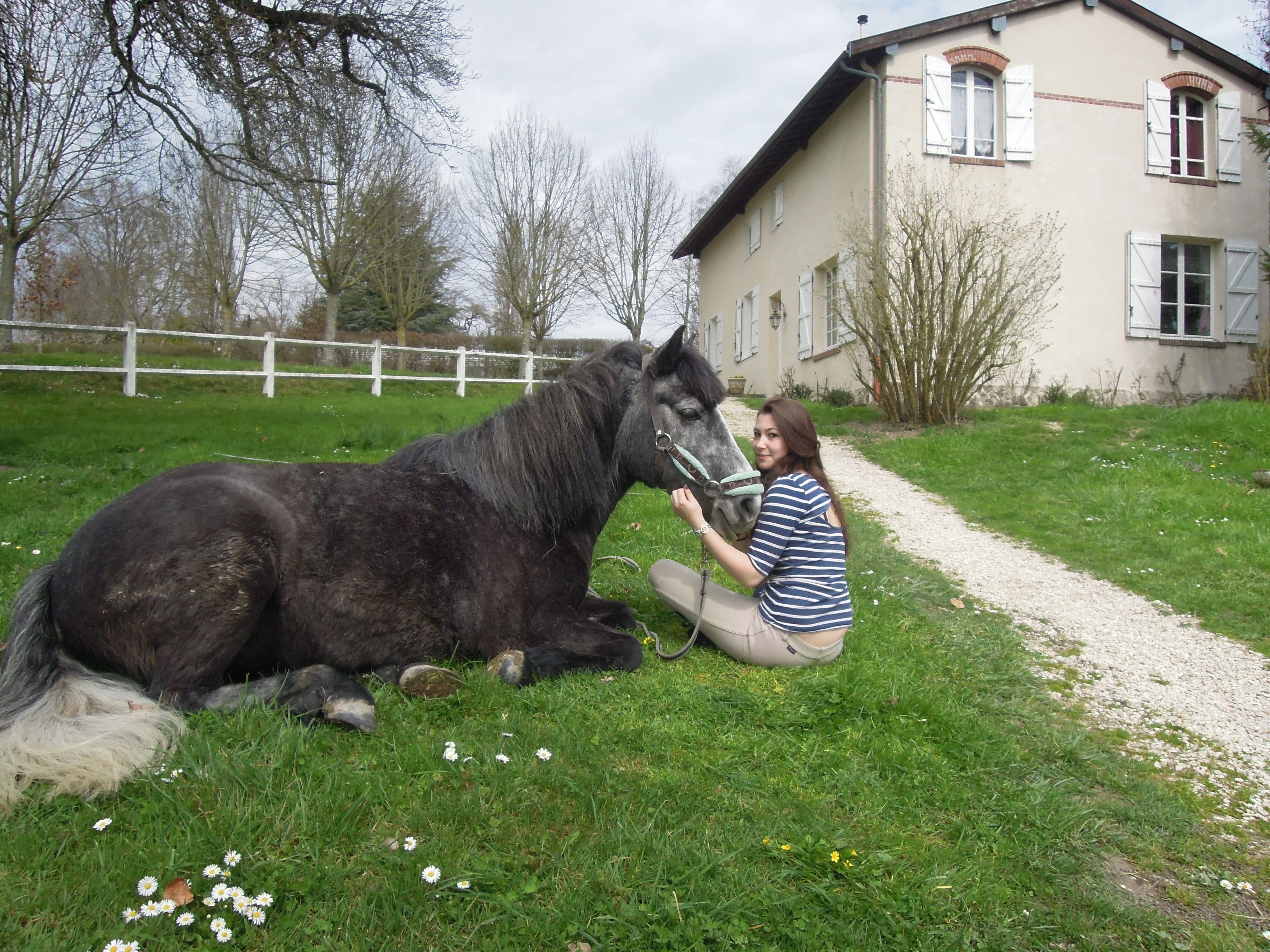 Una persona sentada junto a un caballo en un área con césped, con un edificio al fondo.