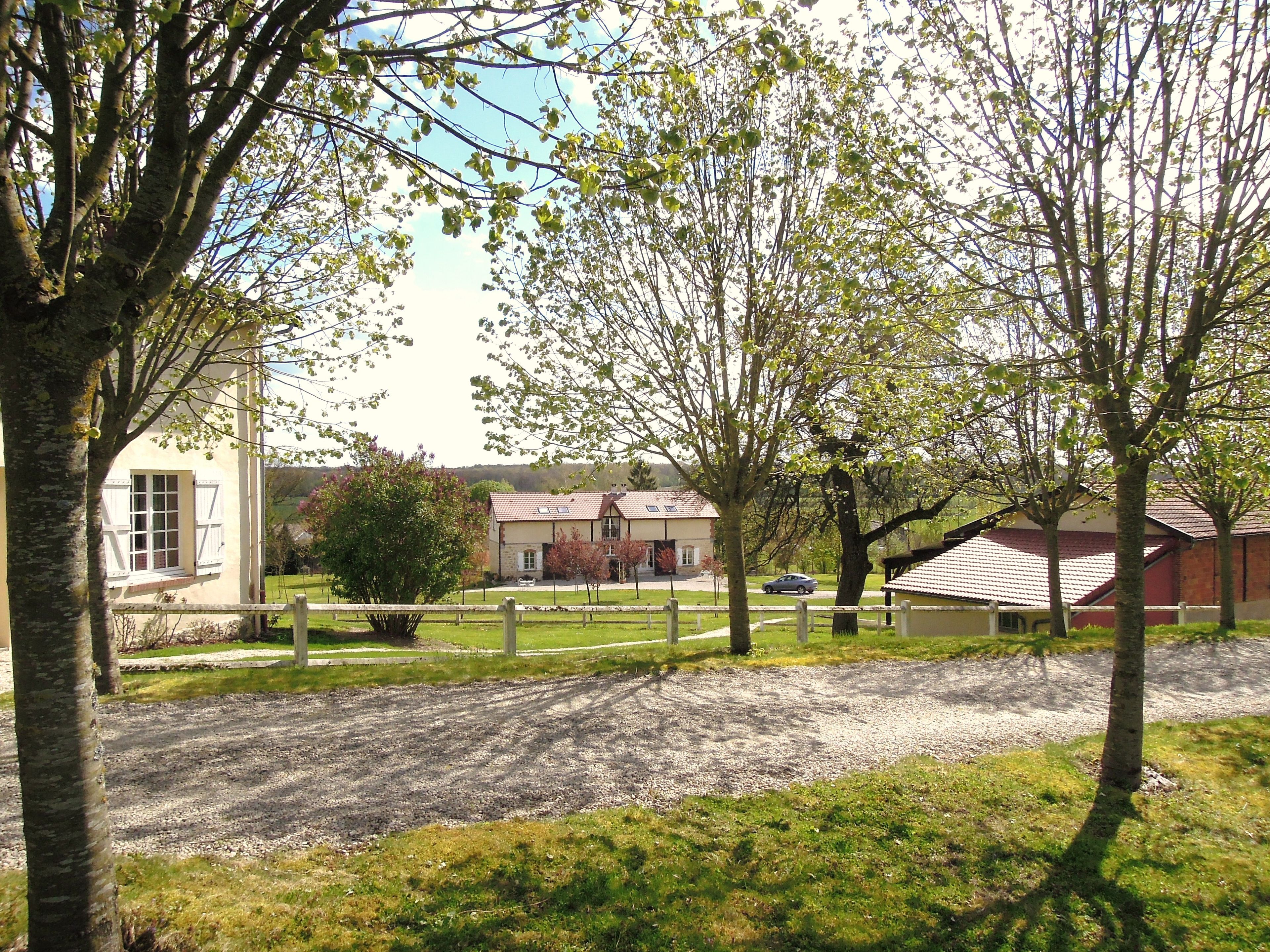 A residential area with houses, a gravel driveway, and trees.