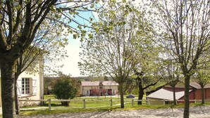 A residential area with houses, a gravel driveway, and trees.
