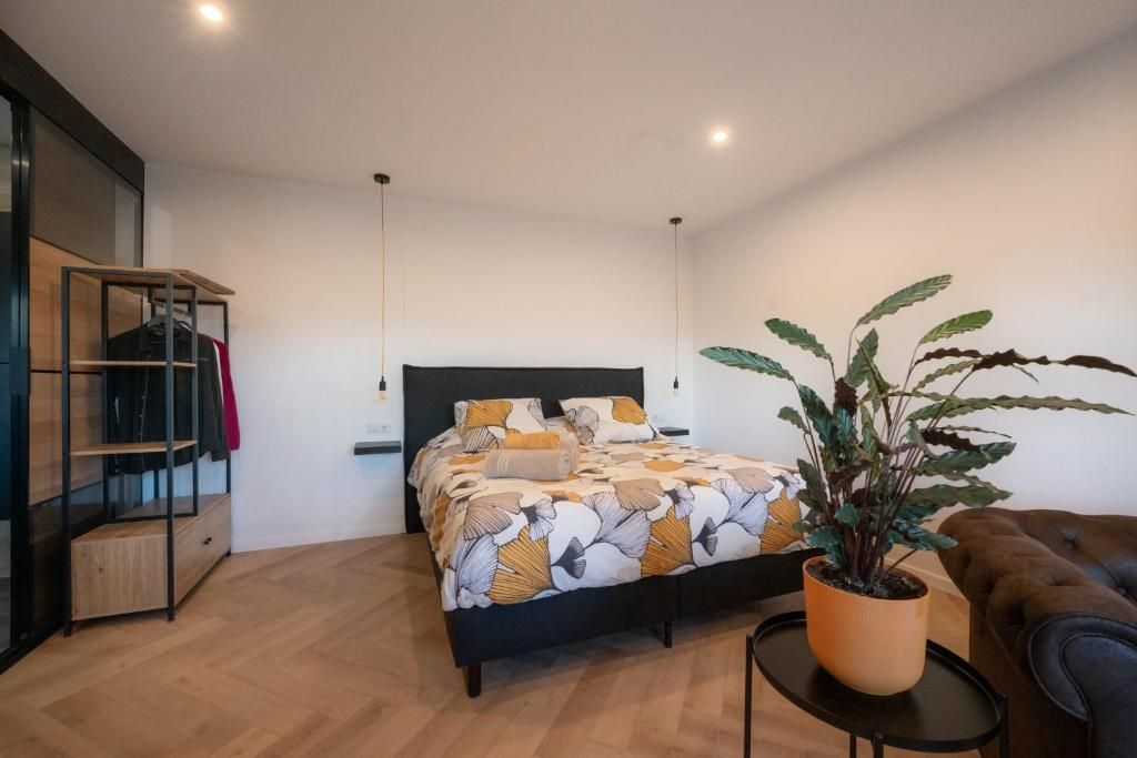 Une chambre à coucher comprenant un lit, une plante en pot, un canapé et une armoire intégrée.