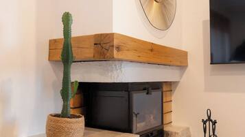 A stone fireplace with a wooden mantel, a cactus in a pot, and a television mounted on the wall.