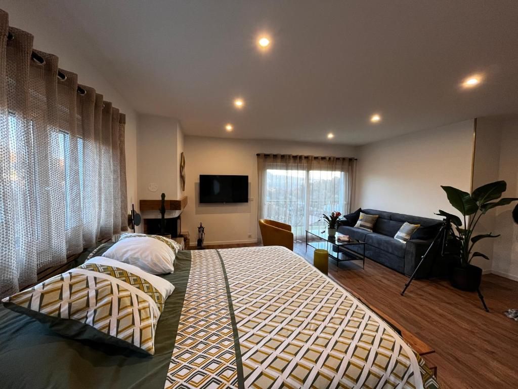Ein Hotelzimmer mit einem großen Bett, einer Couch, einem Fernseher und einer Pflanze.