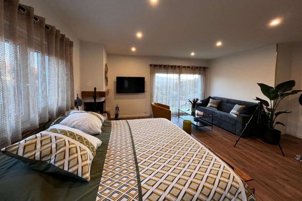 Ein Hotelzimmer mit einem großen Bett, einer Couch, einem Fernseher und einer Pflanze.