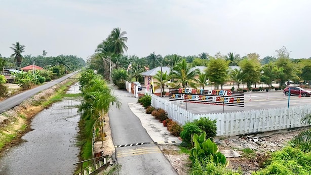 A gated entrance with a sign, a paved road, and palm trees.