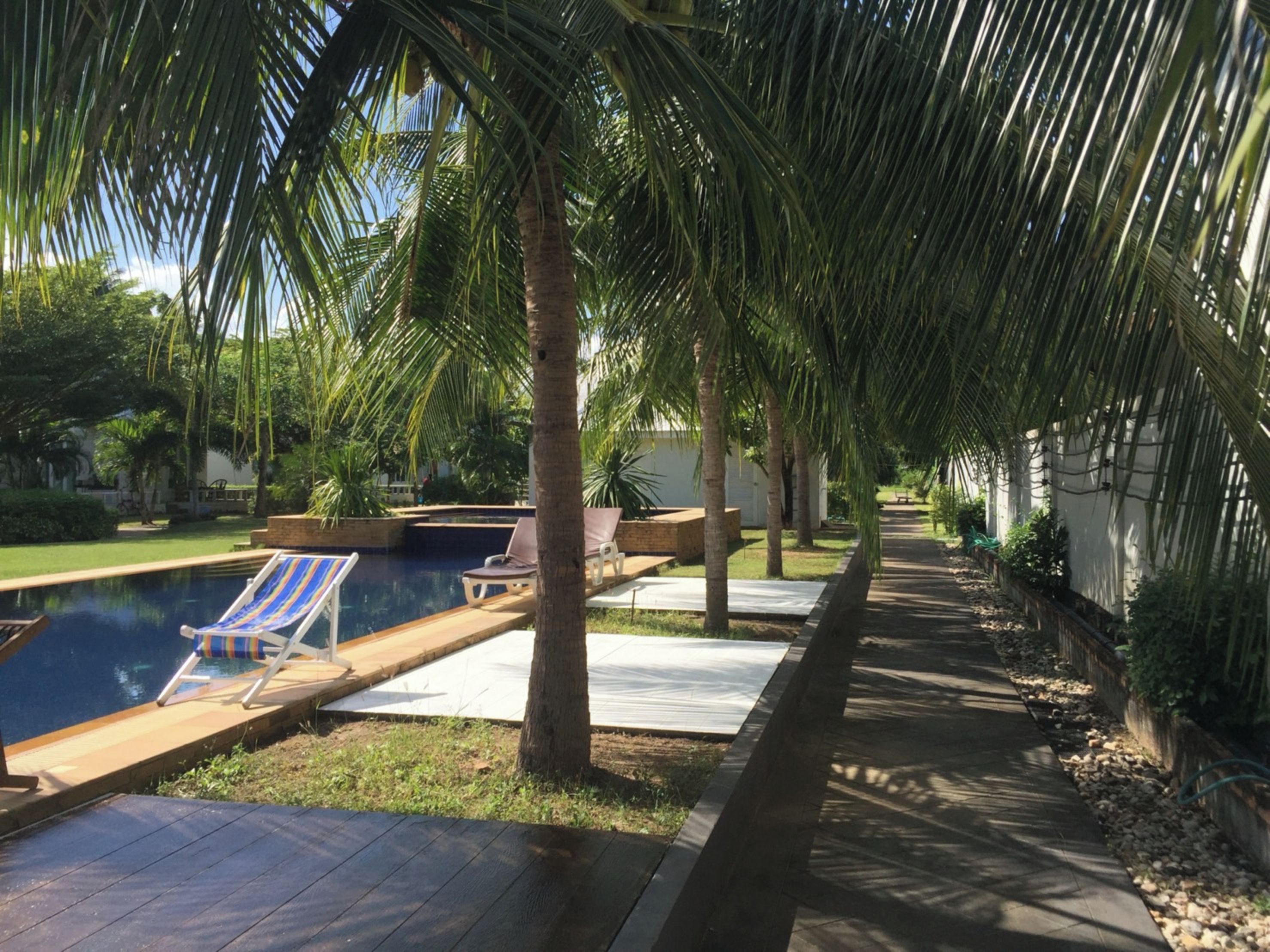 Un área de piscina con sillones reclinables, un sendero bordeado de palmeras y una piscina azul cristalina.