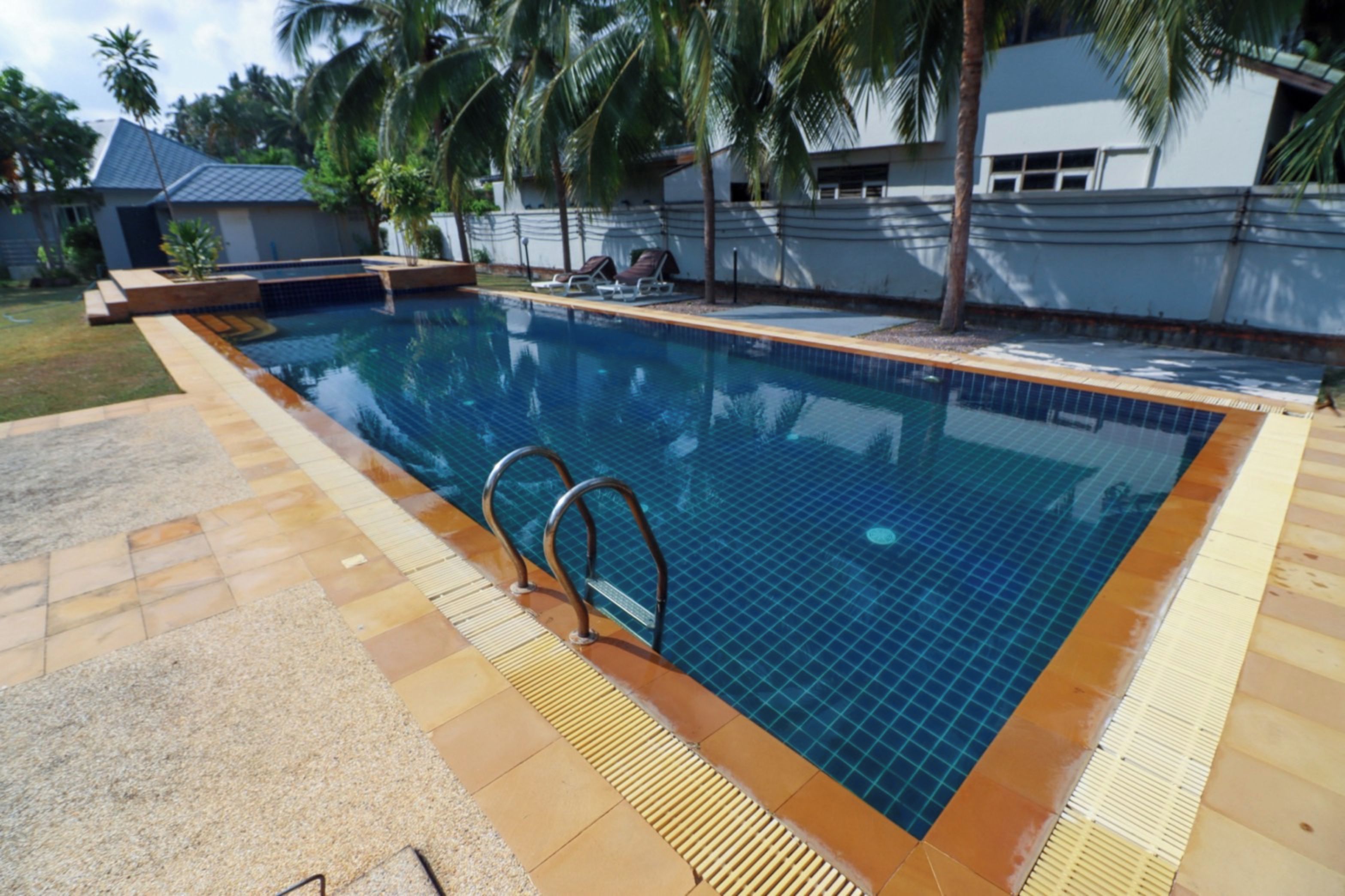 Ein Schwimmbecken mit einer gefliesten Kante, einer Holzterrasse und einer Palme im Hintergrund.