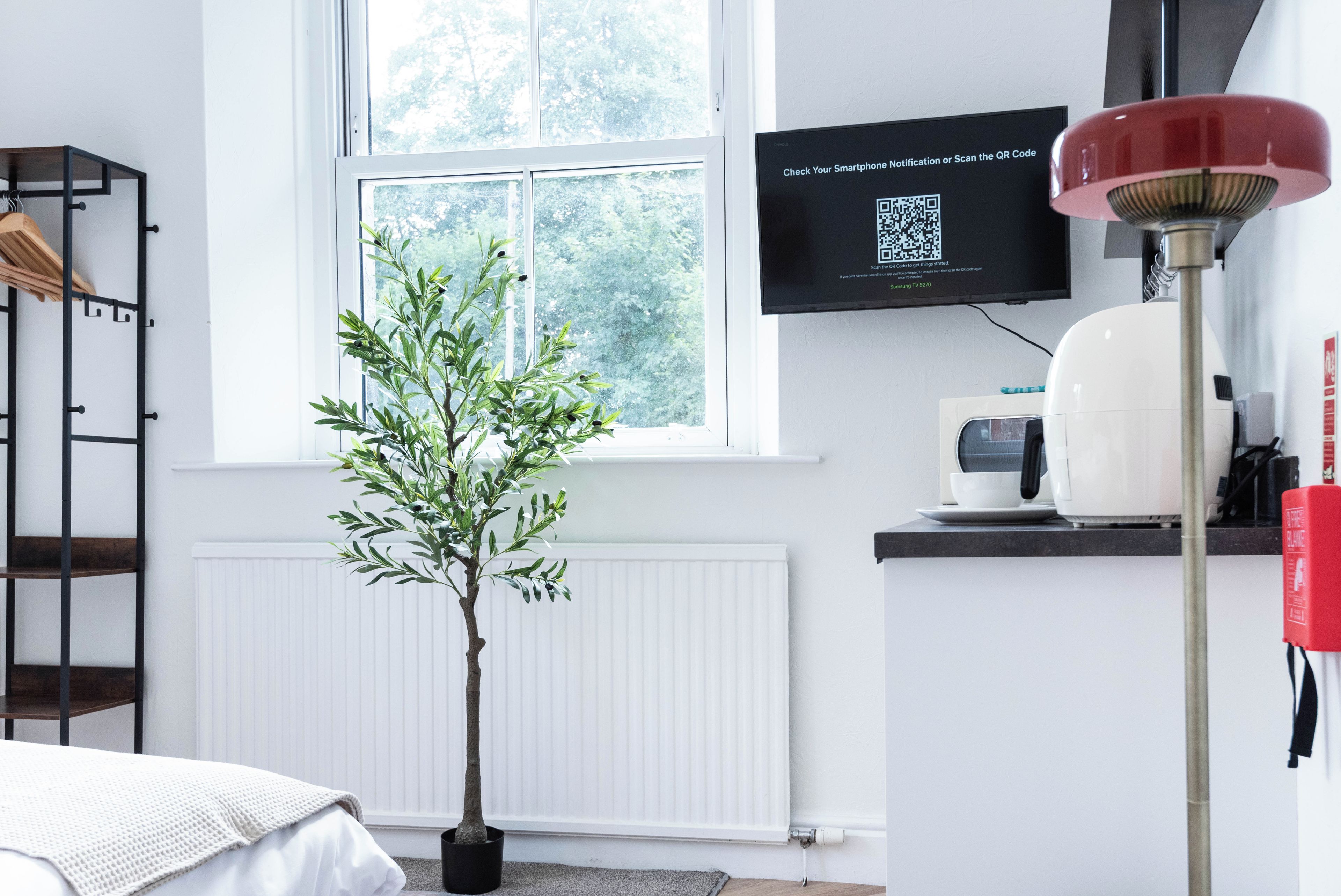 Een kamer met een raam, een kleine boom, een flatscreen televisie en een radiator.
