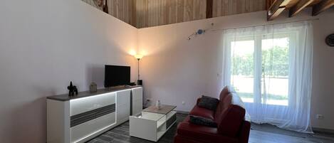 Televisión, chimenea y reproductor de DVD