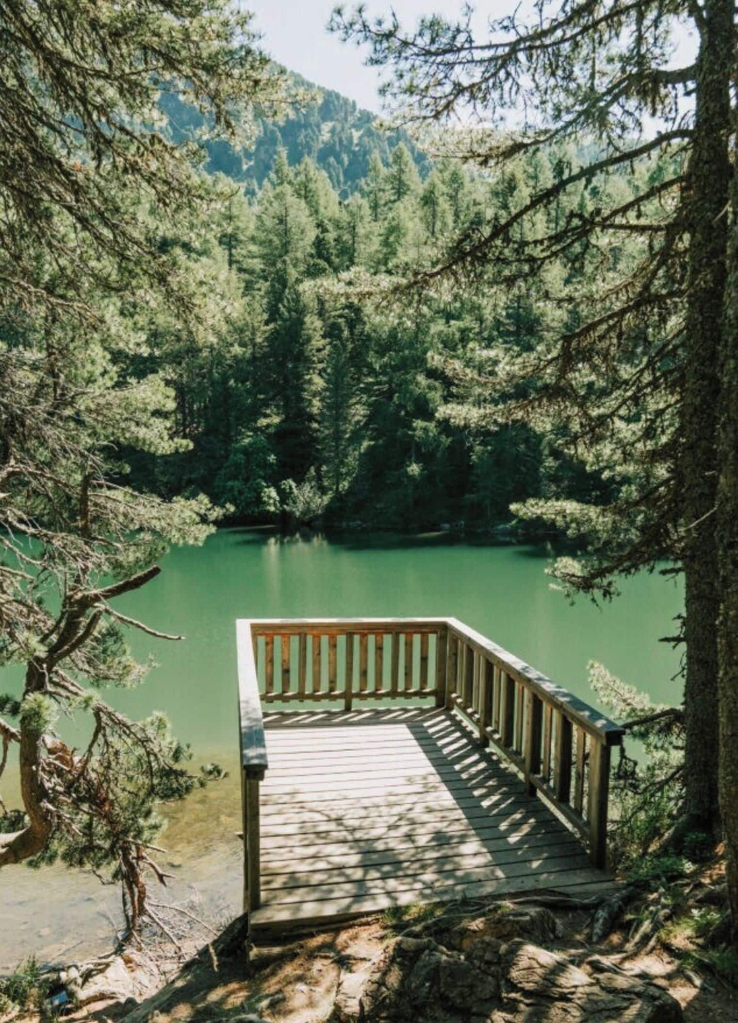 A wooden deck leading to a calm lake surrounded by dense forest.