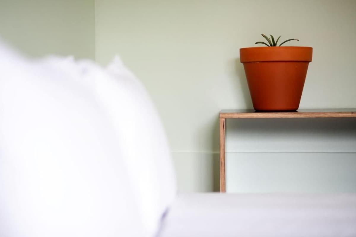 A potted plant on a wooden nightstand.