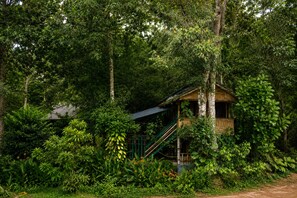 A wooden cabin surrounded by dense forest, with a staircase leading to the entrance. - Fabvalley Farm Tourism and Homestay (Devikolam)
