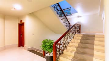 Una escalera con techo de cristal, una puerta de madera y una planta en maceta.