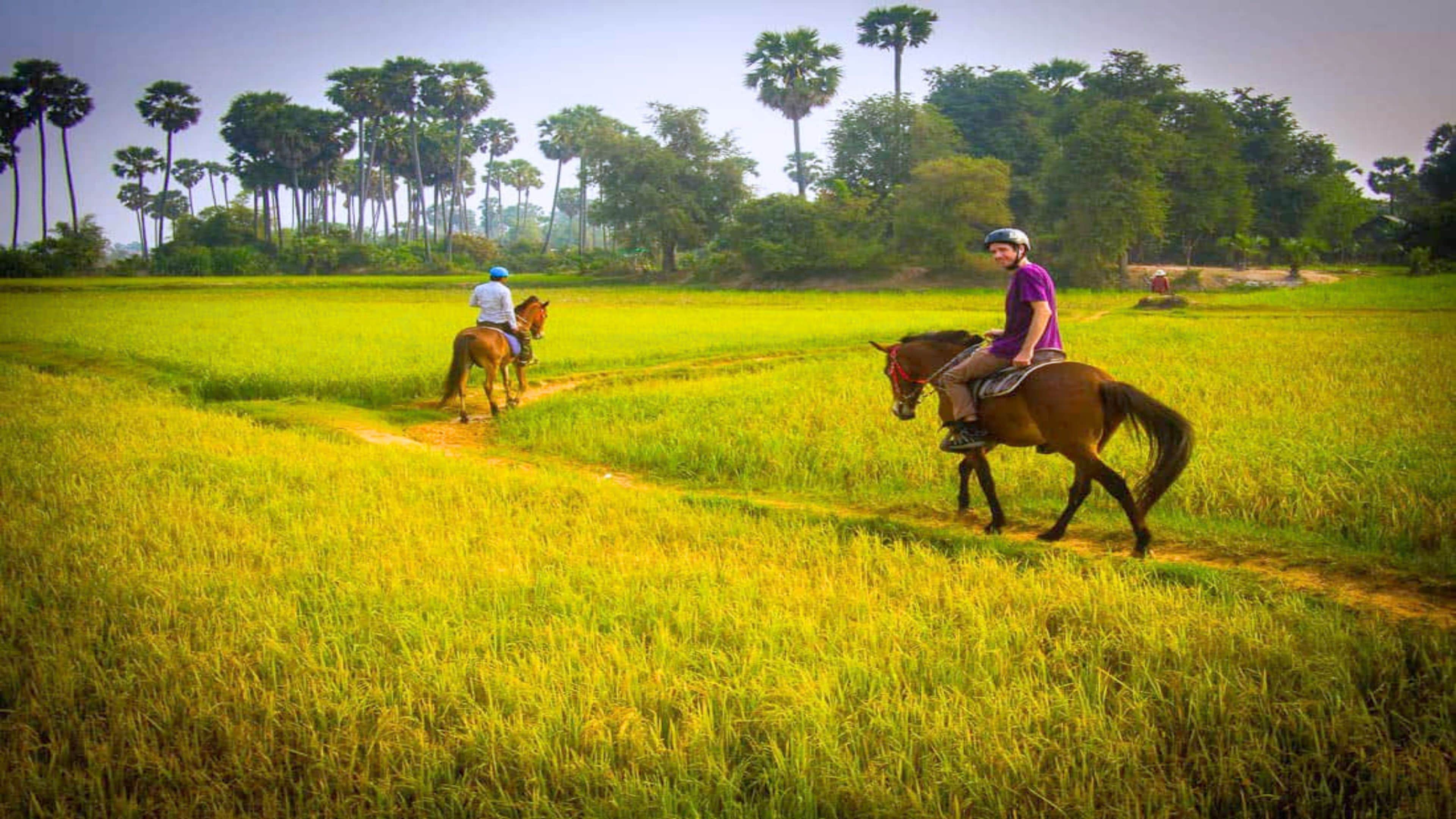 Two individuals riding horses through a field with tall trees in the background.