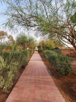 Un sendero pavimentado bordeado por abundante vegetación y árboles, que conduce hacia una edificación distante.