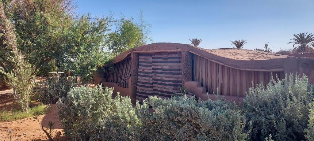A traditional adobe structure with a flat roof, surrounded by desert vegetation.