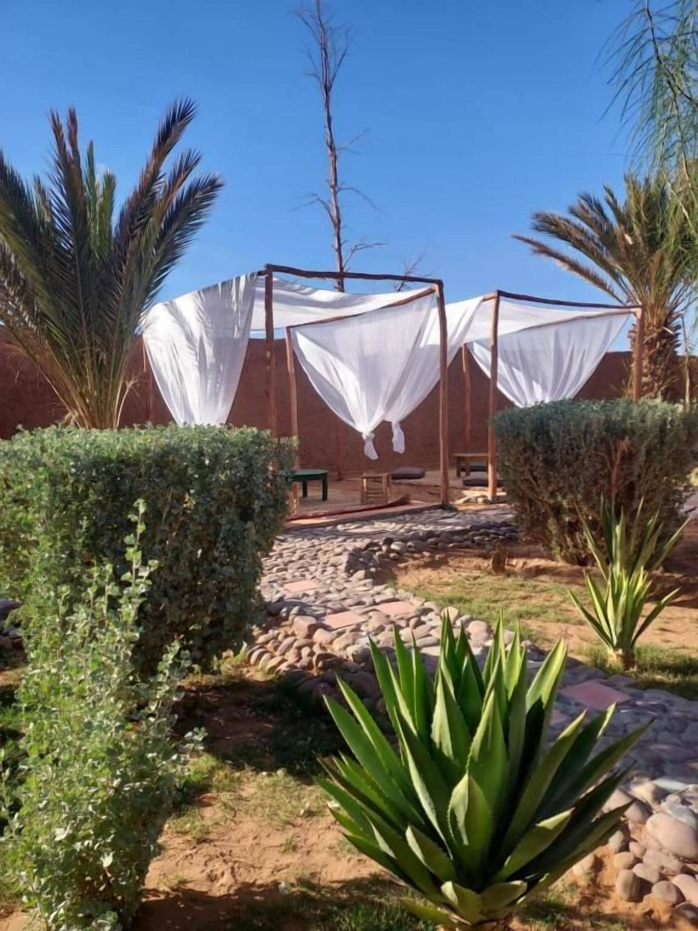 Um jardim com pedras, uma palmeira e uma estrutura de toldo branco.