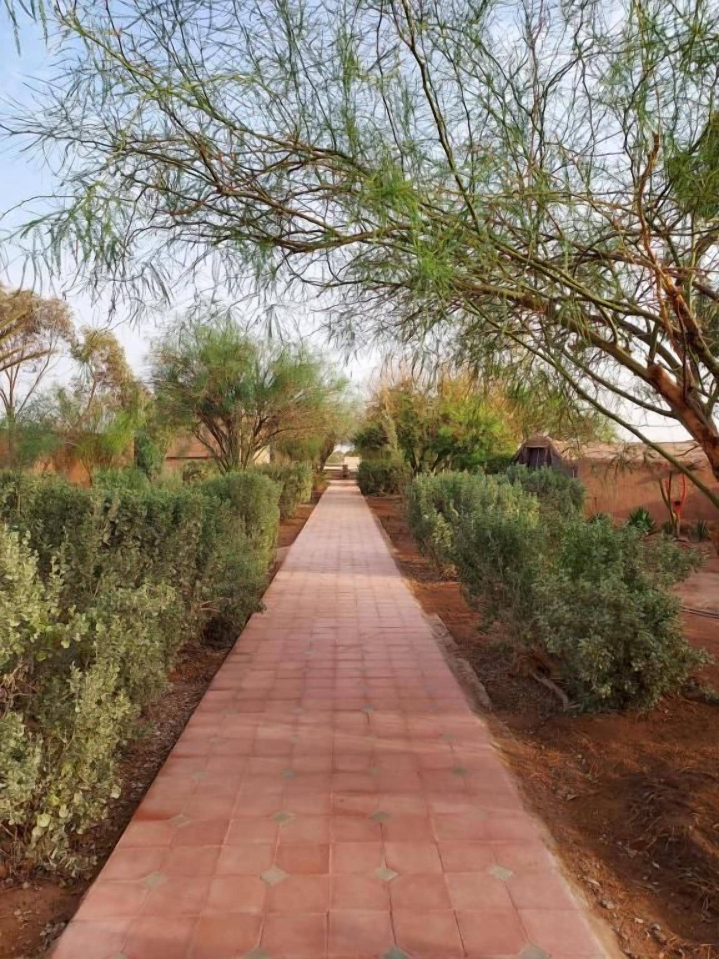 A paved pathway flanked by dense shrubbery and trees, leading towards a distant structure.