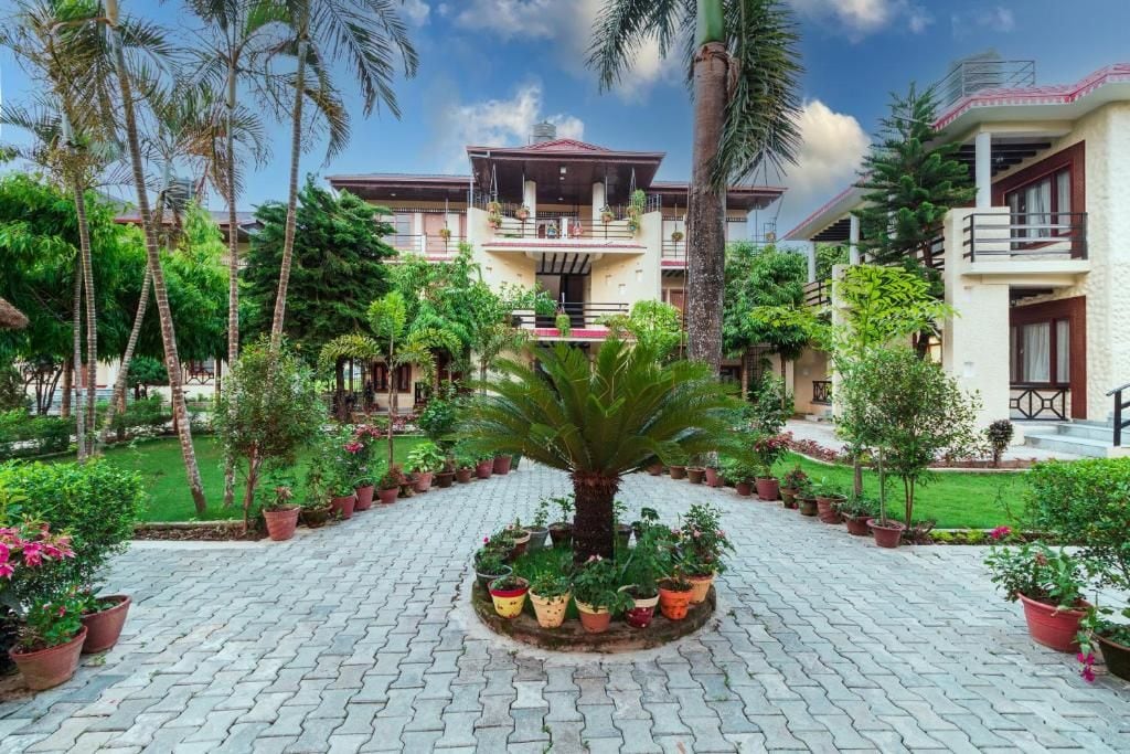 Un patio con una palmera central rodeado de plantas en macetas, un edificio con balcón y cielo despejado.
