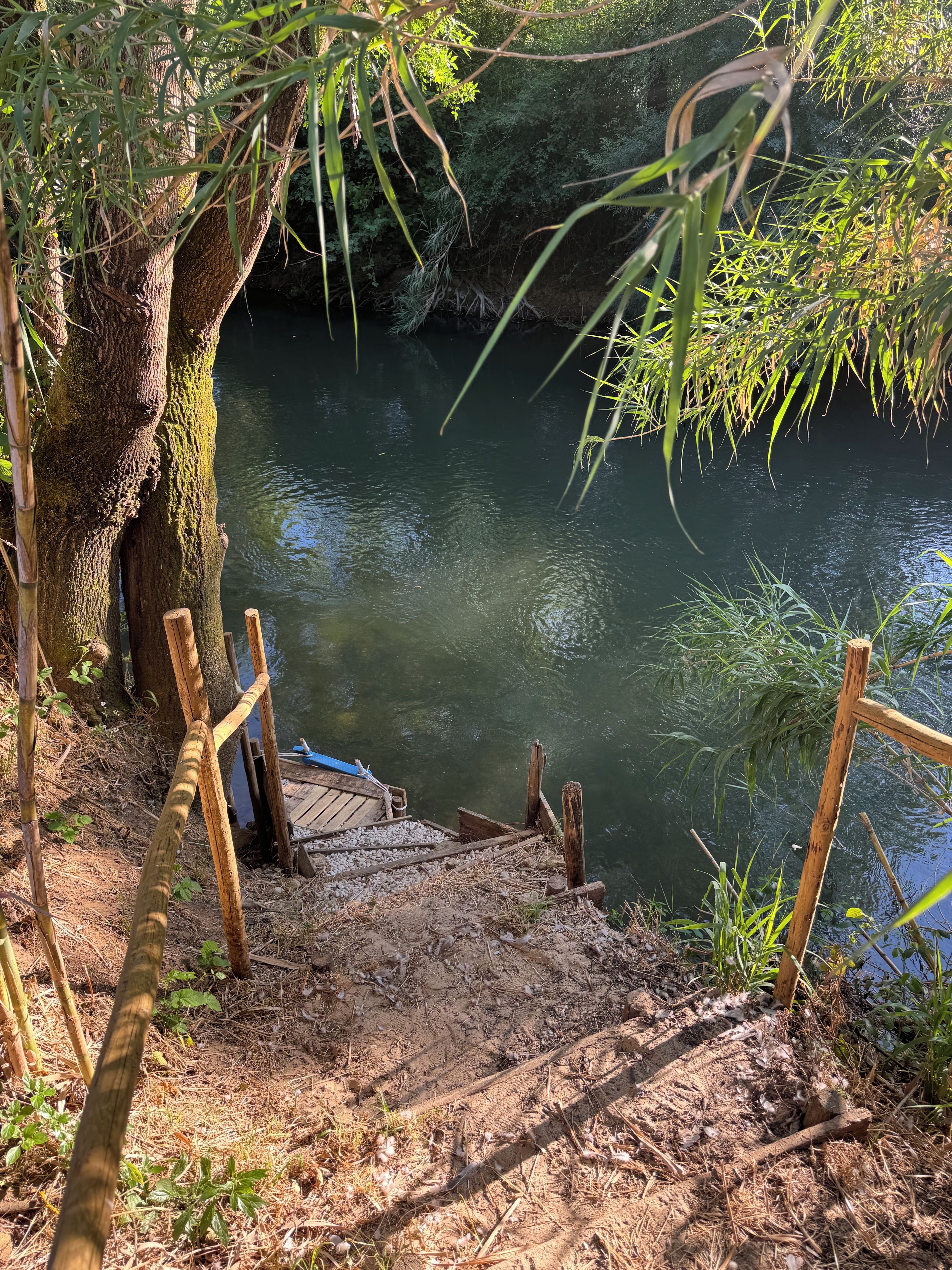 A wooden dock leading into a calm river surrounded by trees and vegetation.