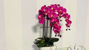 Ett konsolbord med en glasskiva, en vit vas med rosa blommor, en spegel ovanför och en randig vägg.