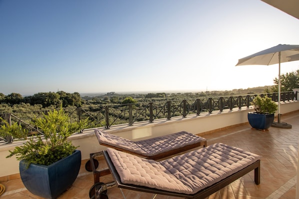 A balcony with two cushioned lounge chairs, a potted plant, and a view of the landscape.
