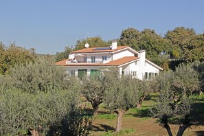 A white two-story house with a red-tiled roof, surrounded by olive trees.