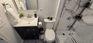 A modern bathroom with a sink, toilet, and shower. - Recent  Remodeled UP Unit 3bedroom in West CLE (Cleveland)