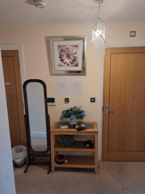 Quarto com porta de madeira, espelho, quadro emoldurado, mesa pequena com planta e lustre.