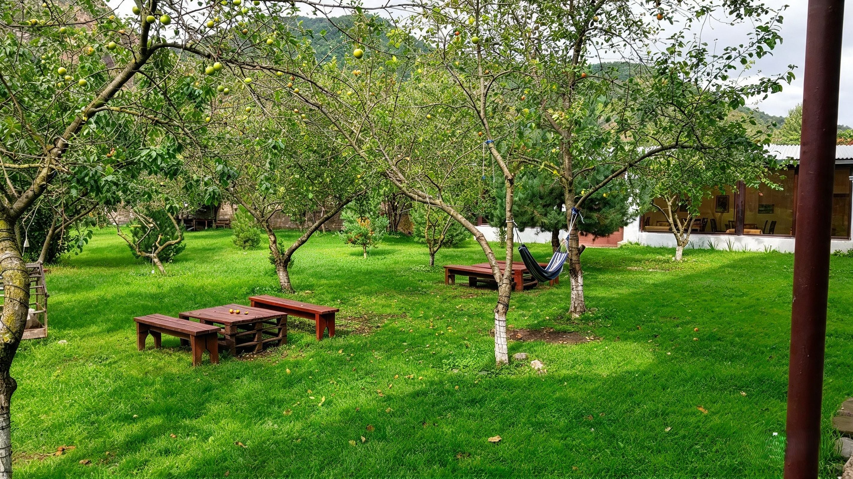 Un espacio al aire libre con césped, mesas de picnic y una hamaca.