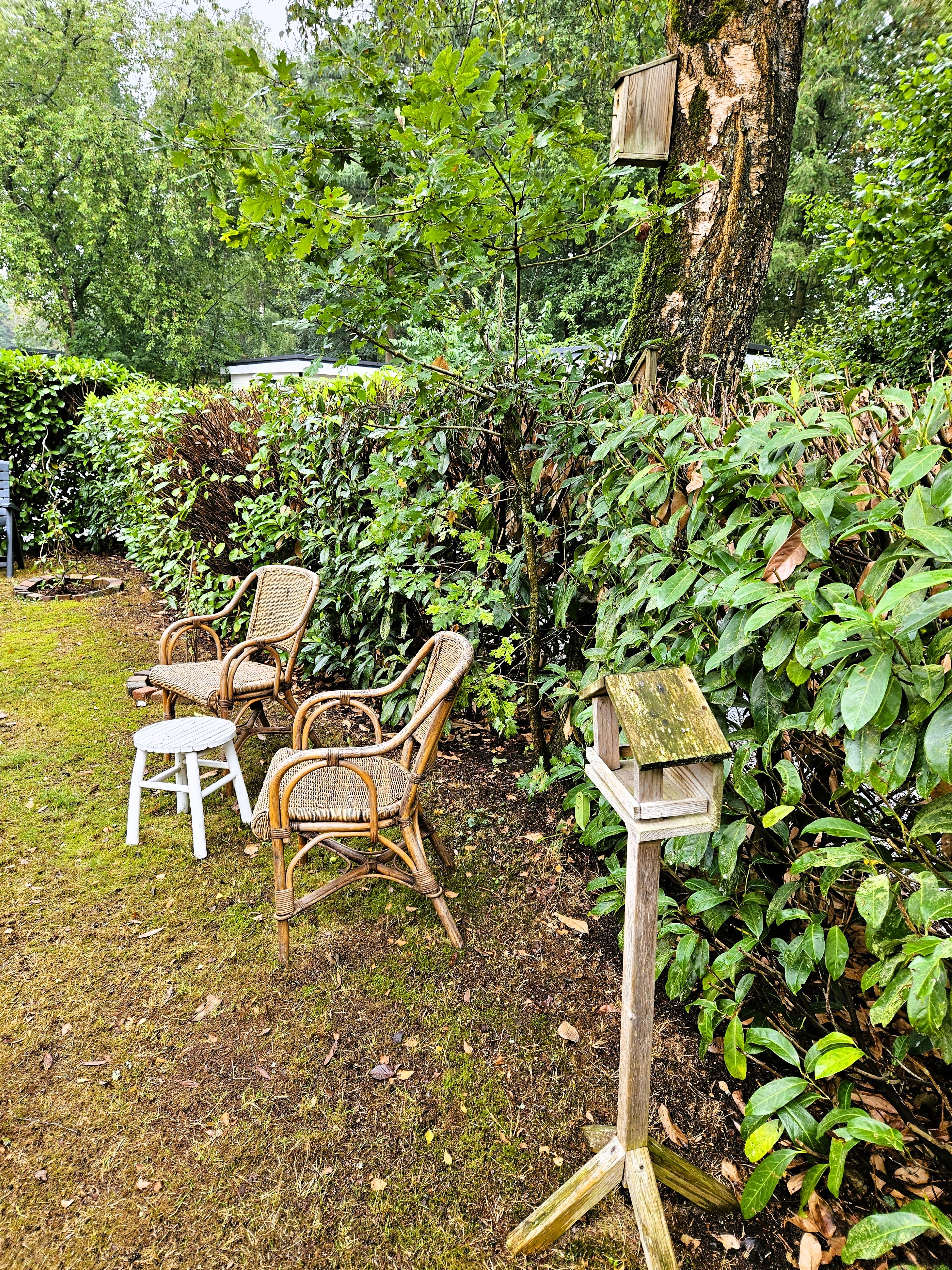 Un jardín con sillas de mimbre, un comedero de pájaros de madera y abundante vegetación.