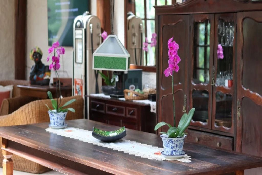 A wooden table with two potted plants and a decorative lamp.