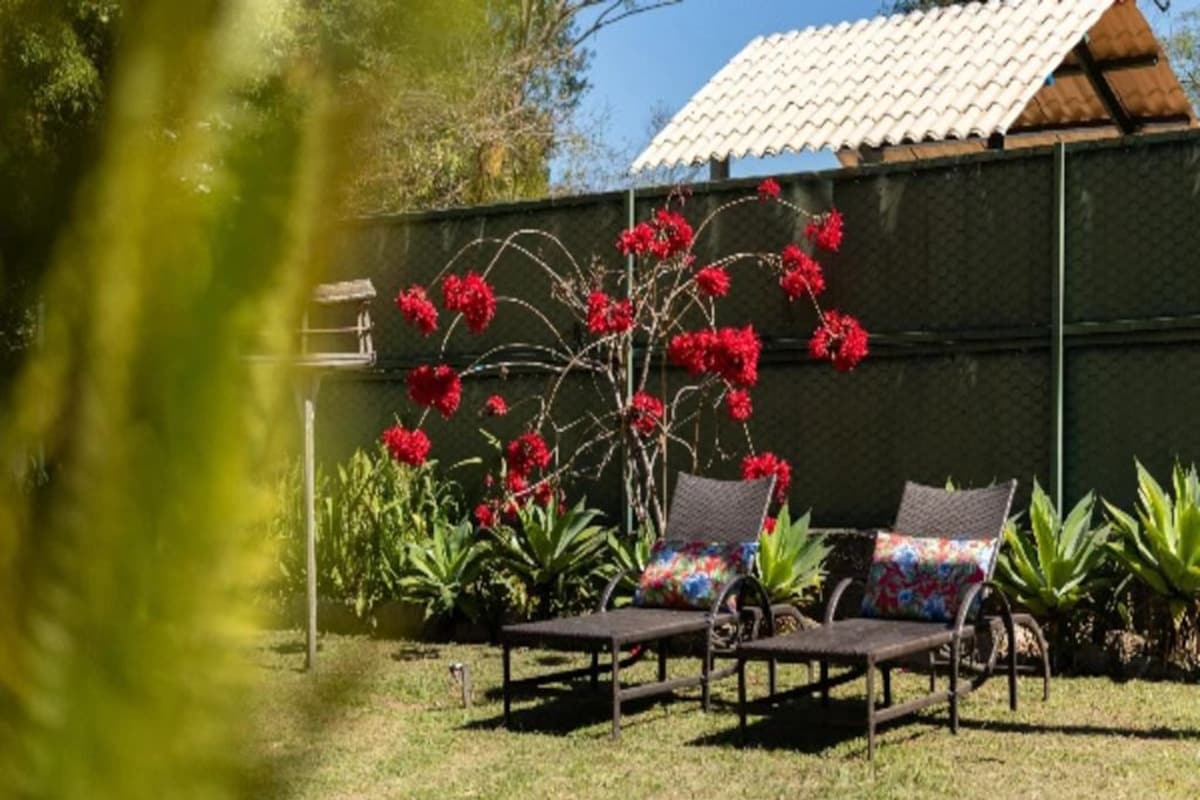 An outdoor seating area with two chairs and a table, surrounded by potted plants and a wall with a tiled roof.