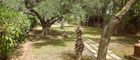 A garden with a paved walkway, trees, and a palm-like plant.