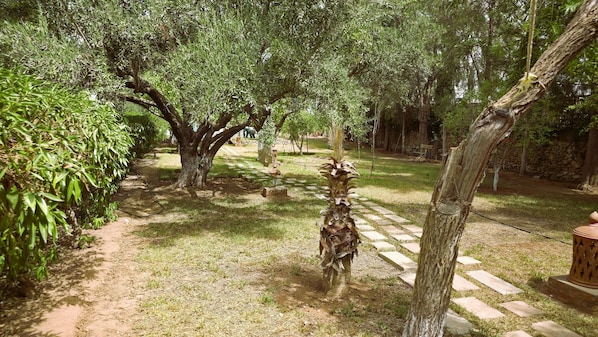 A garden with a paved walkway, trees, and a palm-like plant.