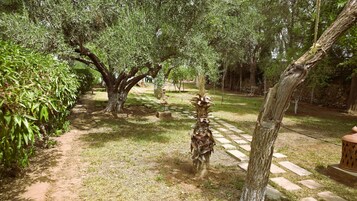 Un jardín con un sendero empedrado, árboles y una planta parecida a una palmera.